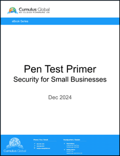 eBook - Pen Test Primer.Cover